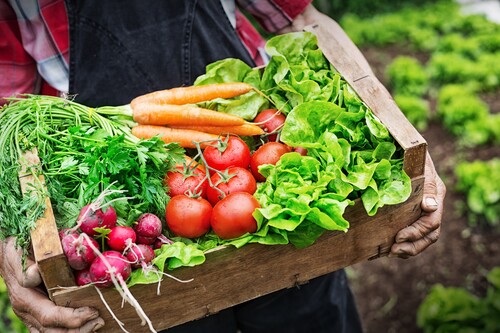 vegetables in harvest basket